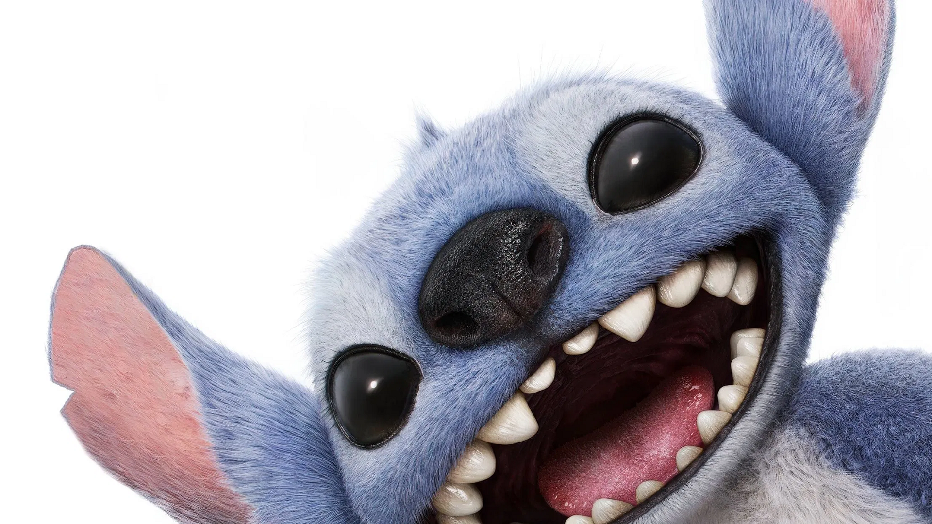 «Лило и Стич» обошелся Disney заметно дешевле «Белоснежки» и «Русалочки» — фильм может окупиться уже в дебютный уик-энд