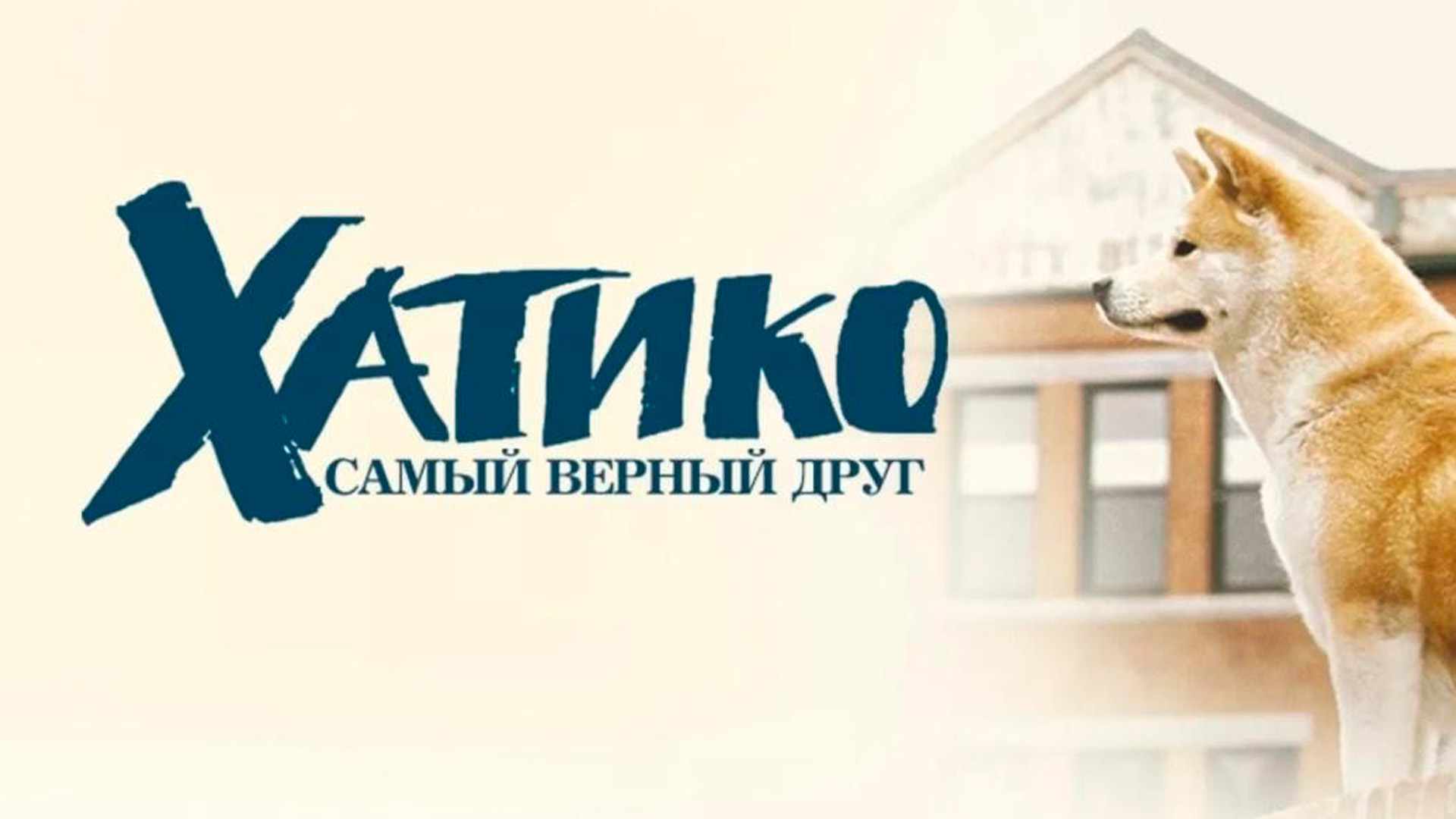 video-section-banner-image