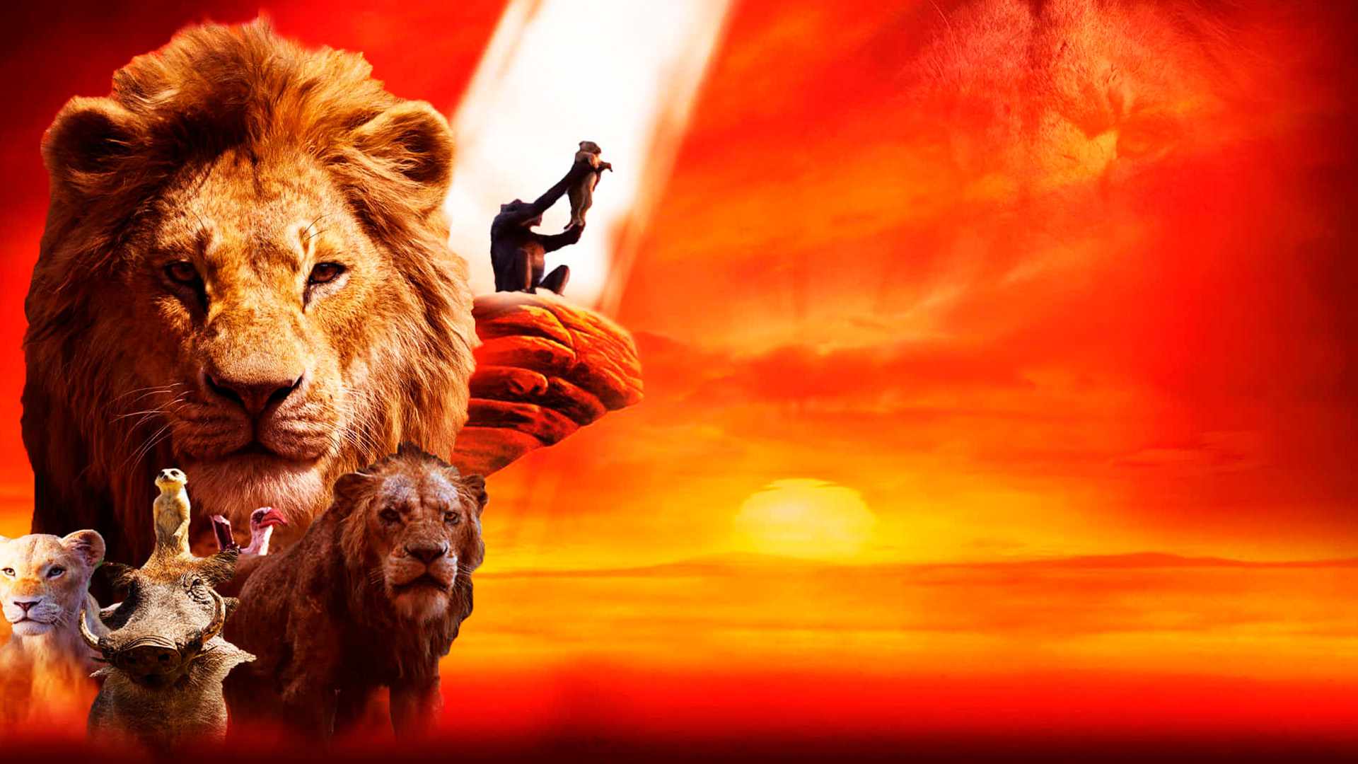 video-section-banner-image