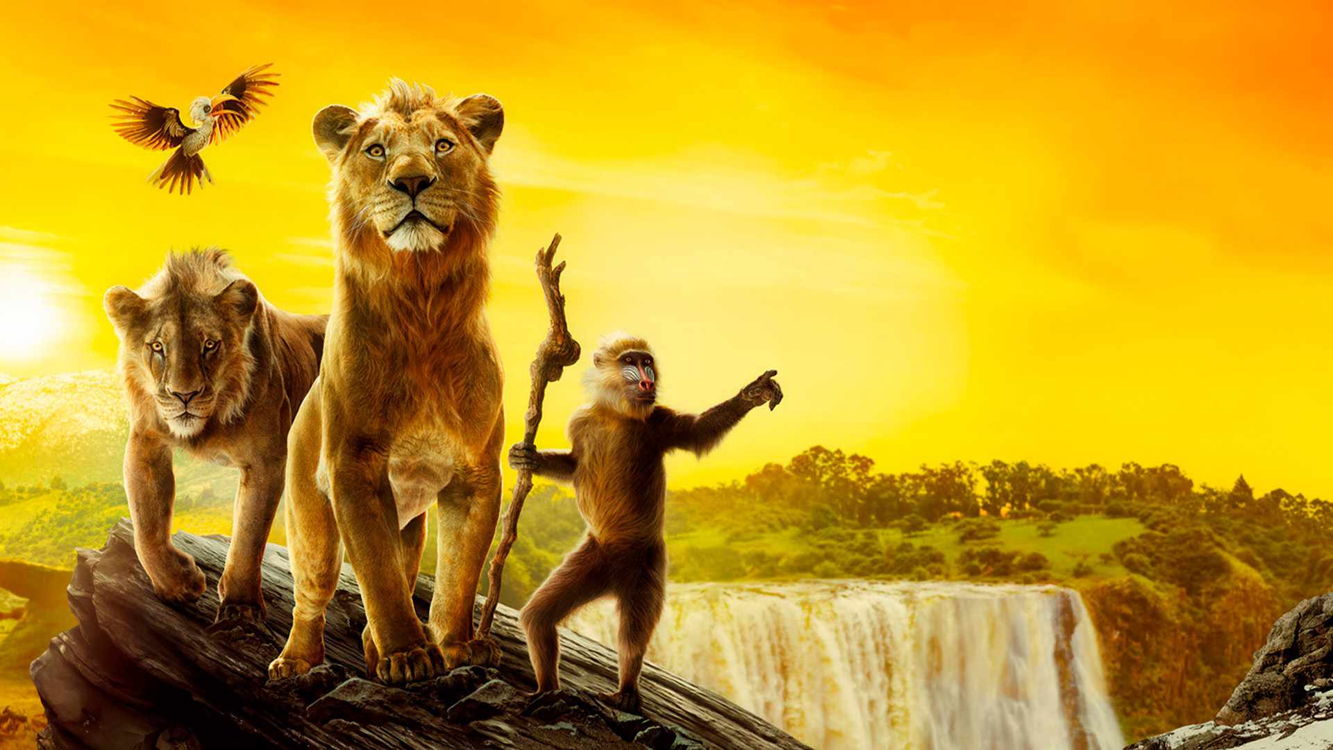 video-section-banner-image