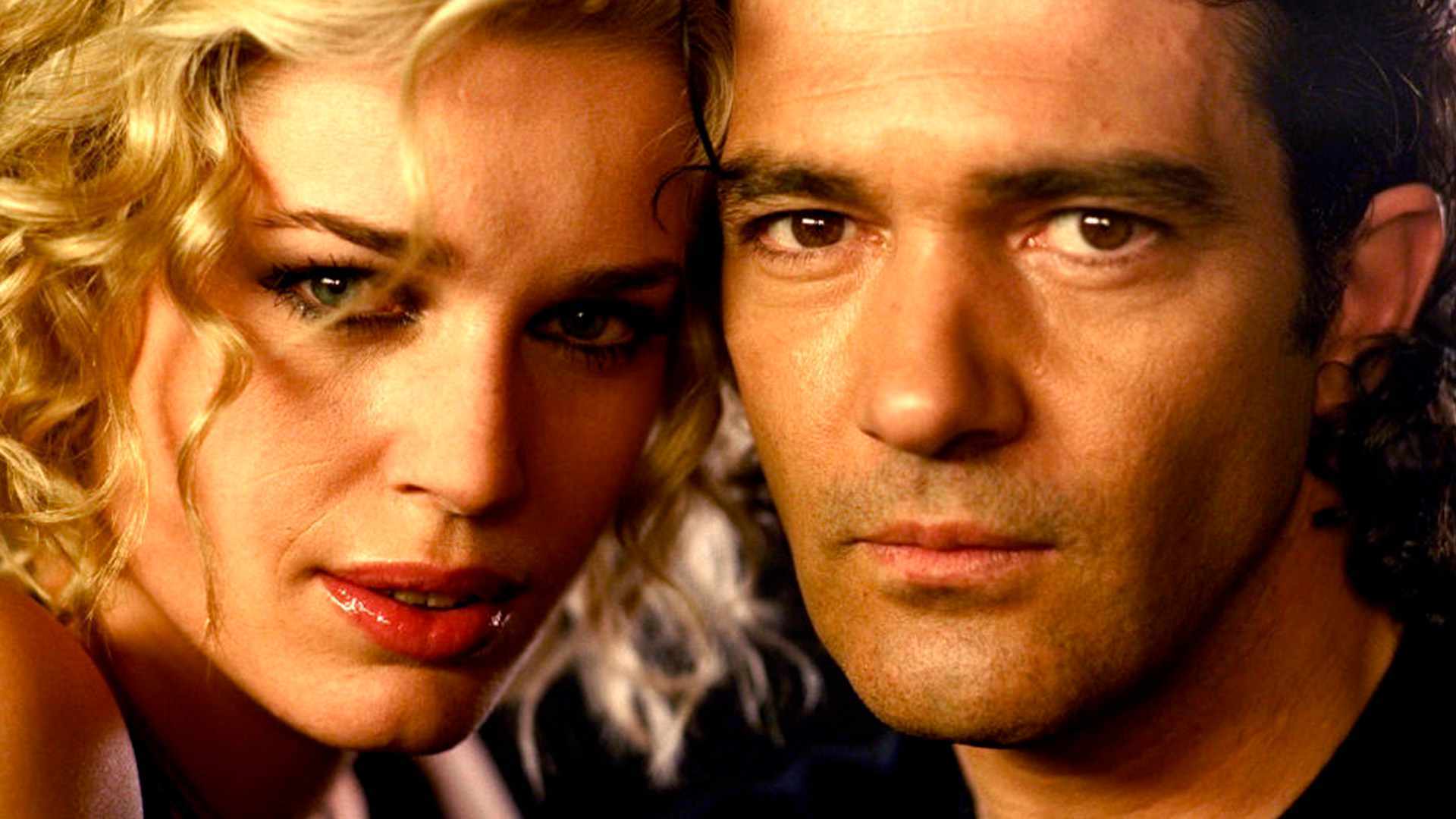 video-section-banner-image