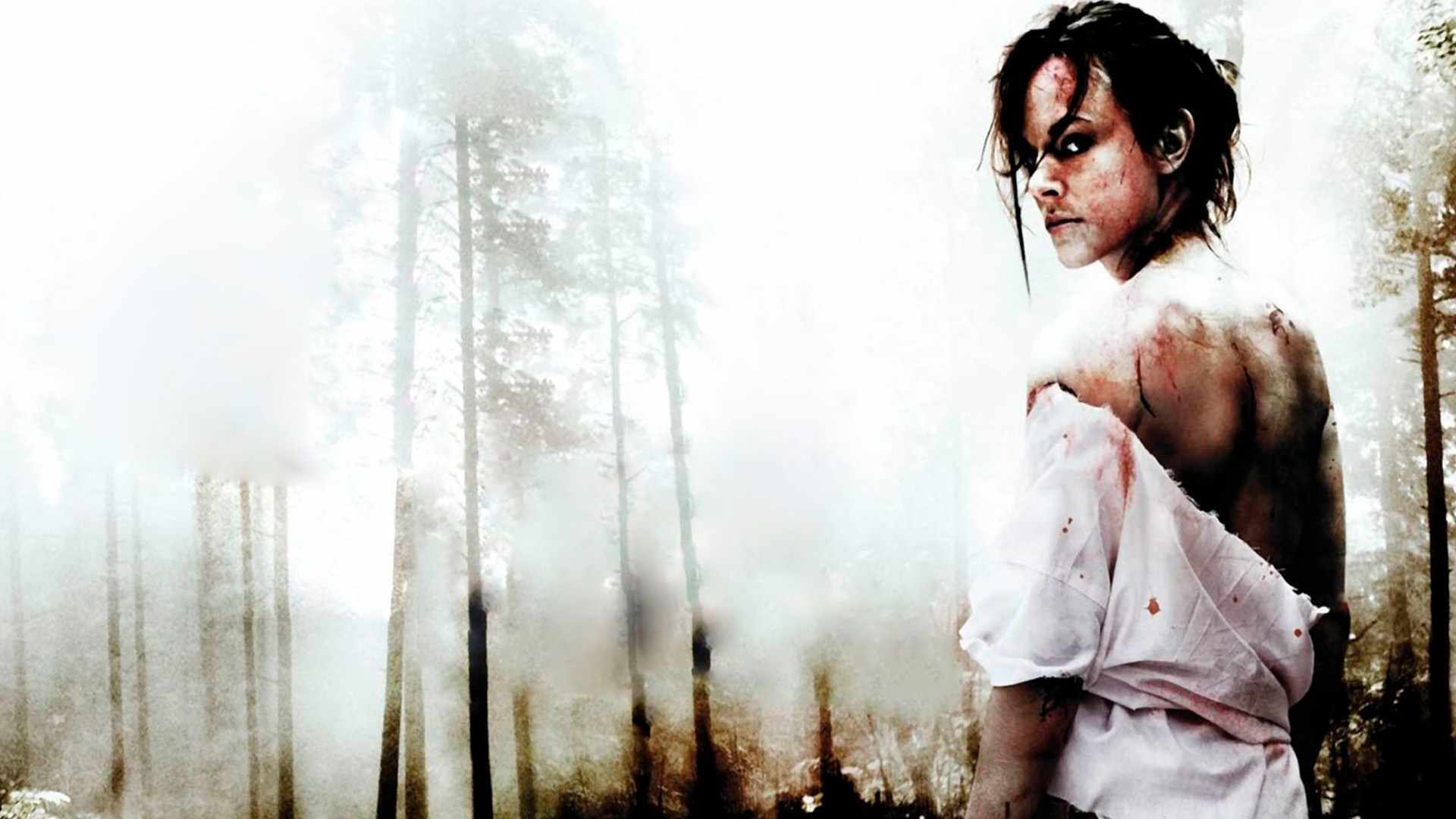 video-section-banner-image