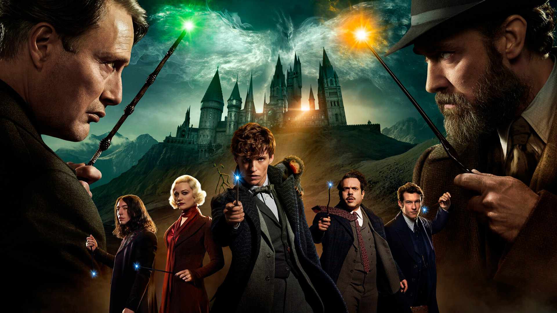 video-section-banner-image