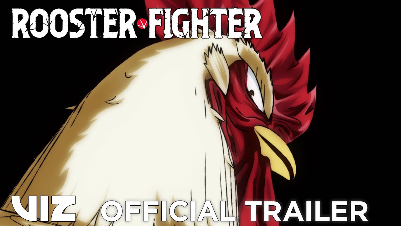 Анонсировано аниме Rooster Fighter о петухе, который сражается с гигантскими демонами