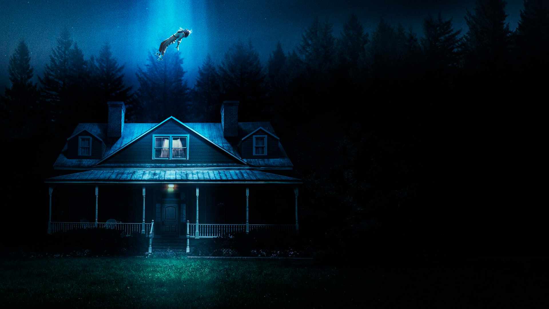 video-section-banner-image