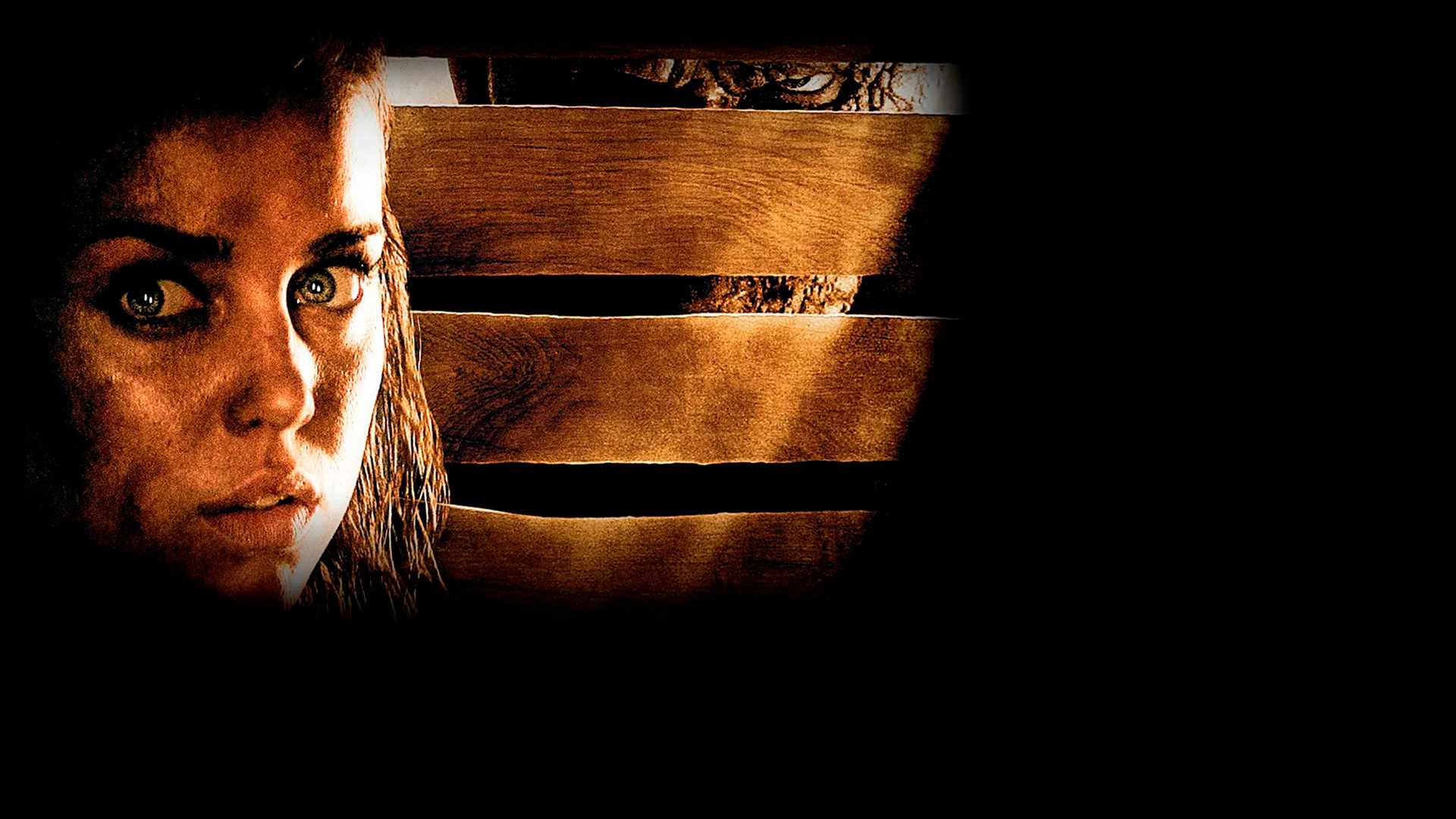 video-section-banner-image
