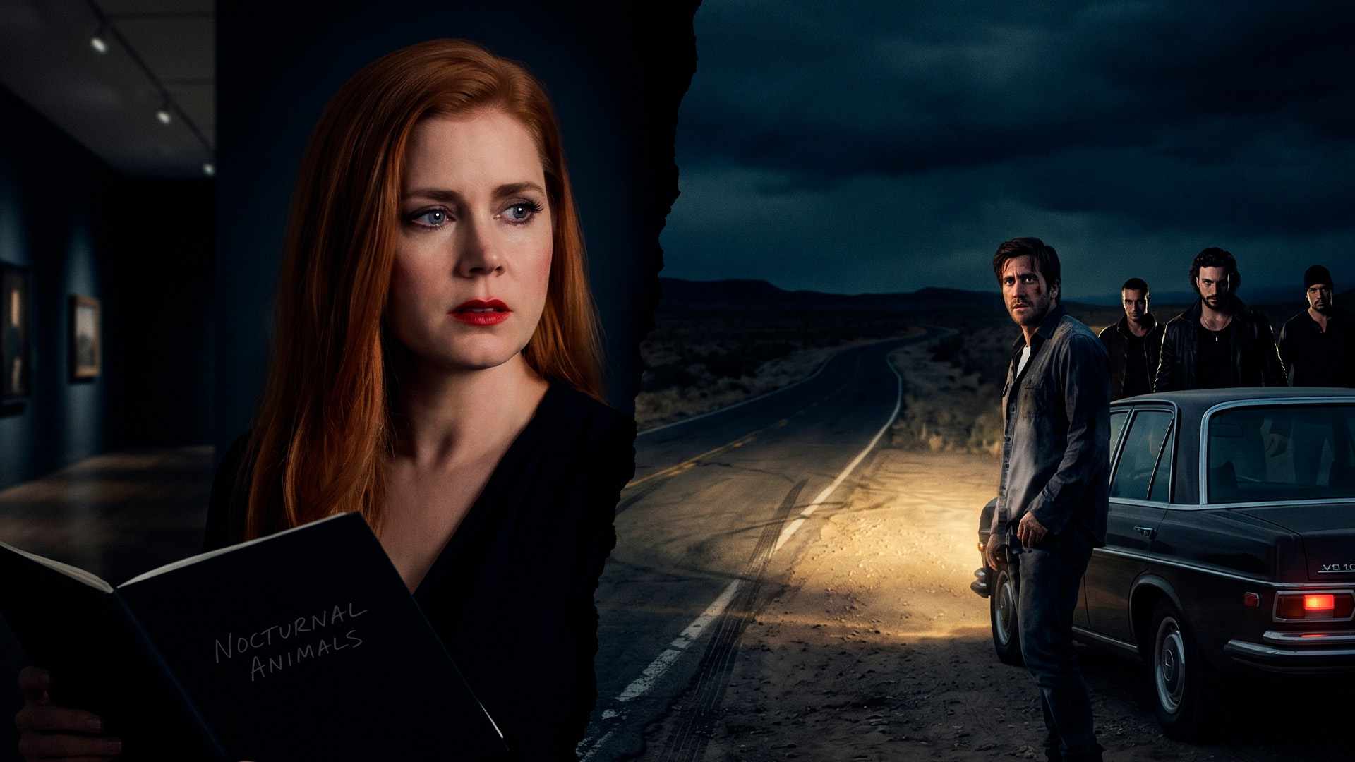 video-section-banner-image